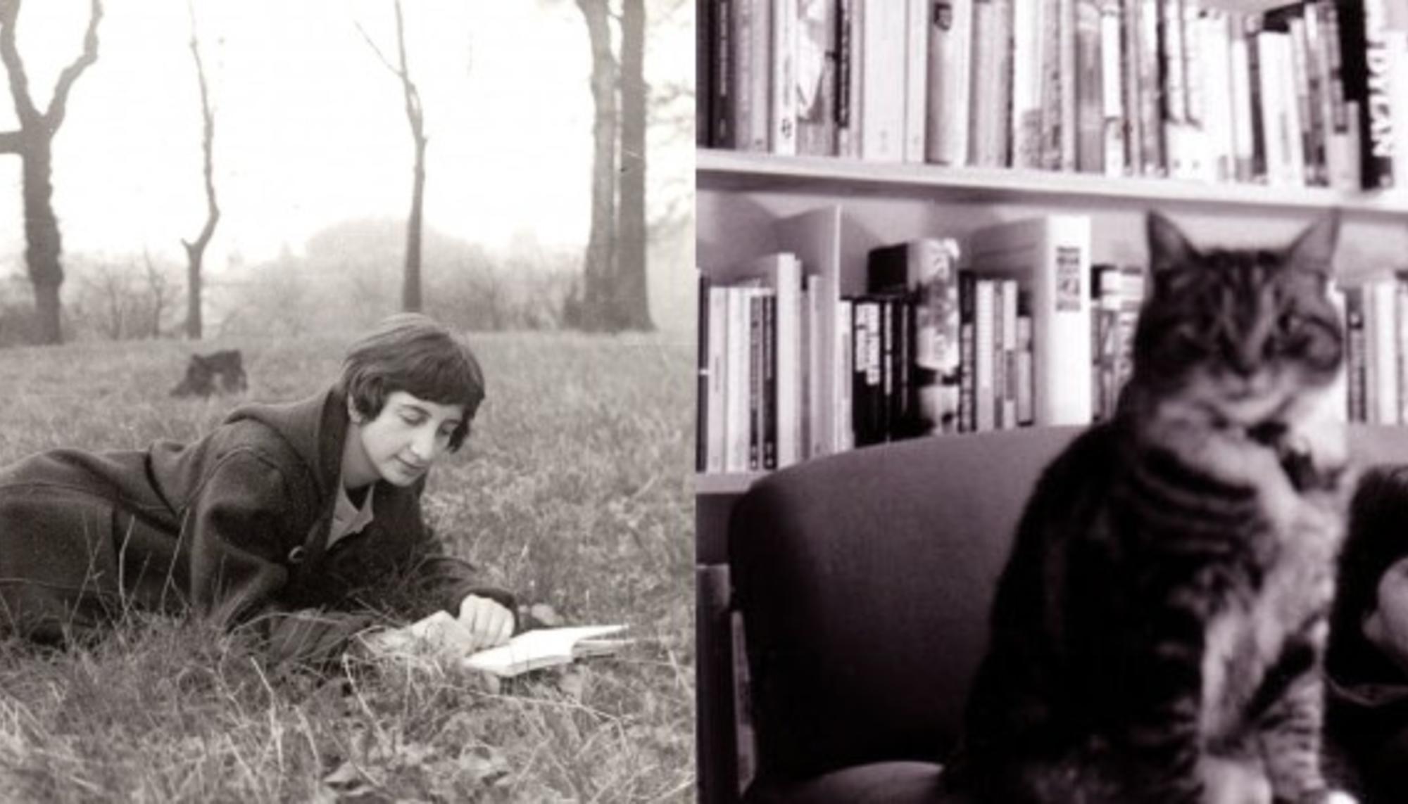 Lorenza Mazzetti y Ali Smith
